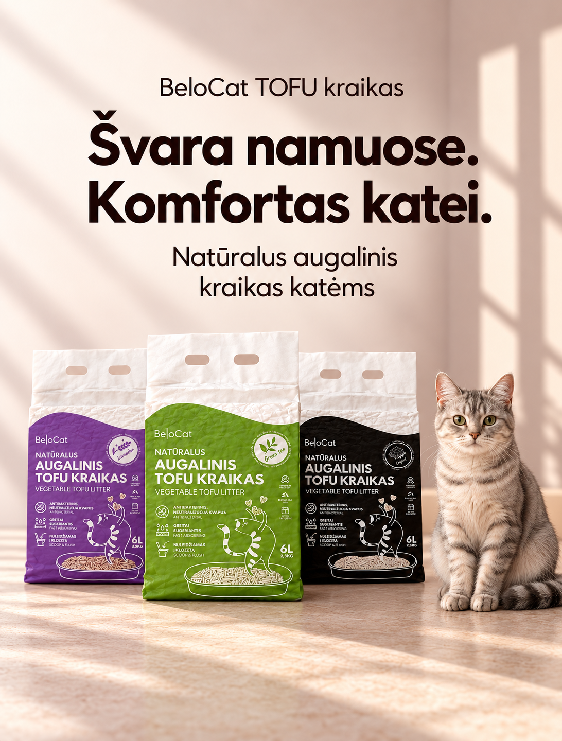 Švara namuose. Komfortas katei.